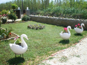 Holiday apartment in Privlaka with sea view, balcony, air conditioning, W-LAN 667-1